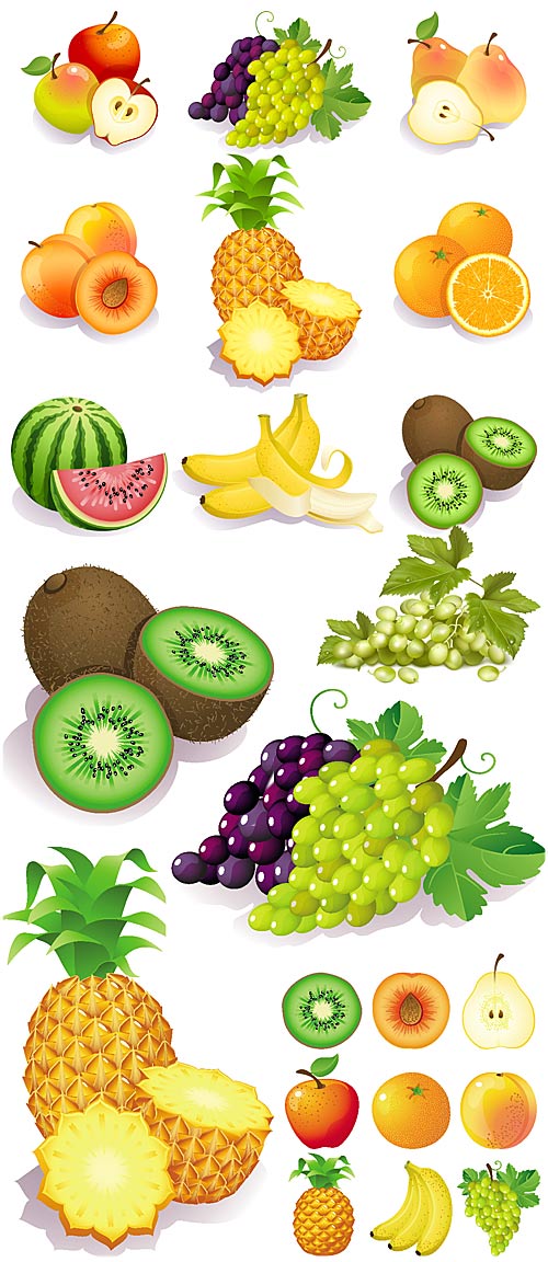   ,   / Vector fruit, tropical fruit