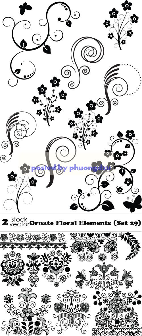Vectors - Ornate Floral Elements 029