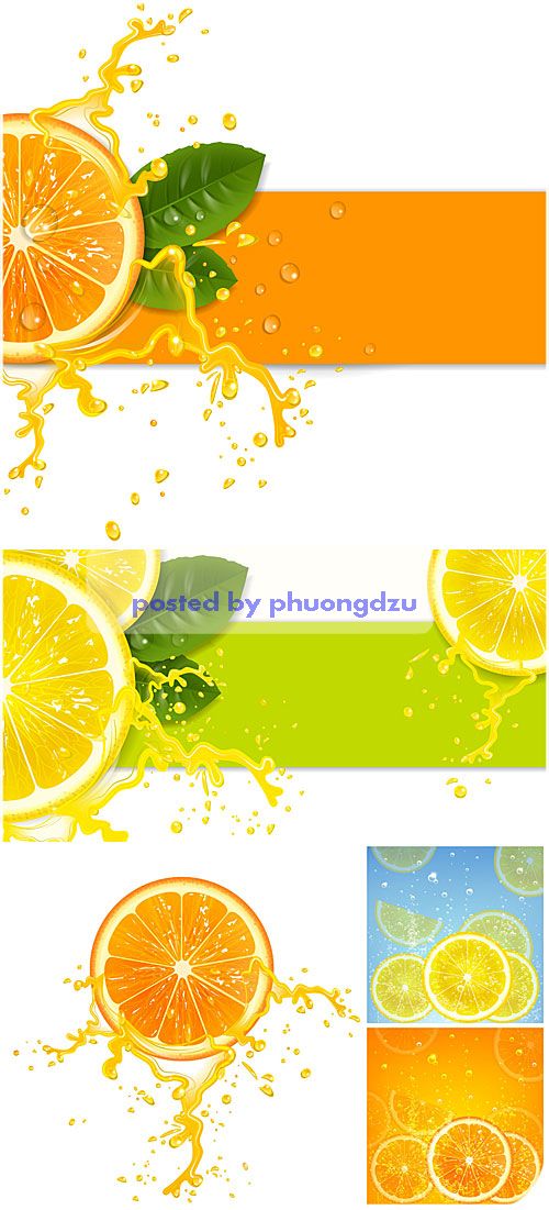 Orange and lemon, vector backgrounds 6