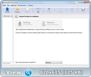 Backup4all Professional 5.1 Build 541