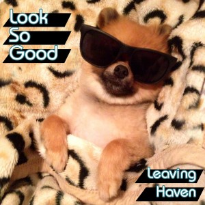 Leaving Haven – Look So Good (Single) (2014)