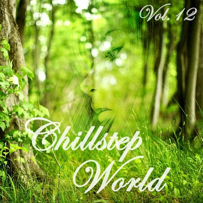 VA - Chillstep World Vol.12 (2014)