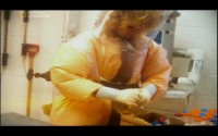  :   / Microkillers: Ebola (2007) TVRip