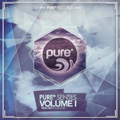 VA - Pure Senses Selected Soulfood Vol 1 (2014)