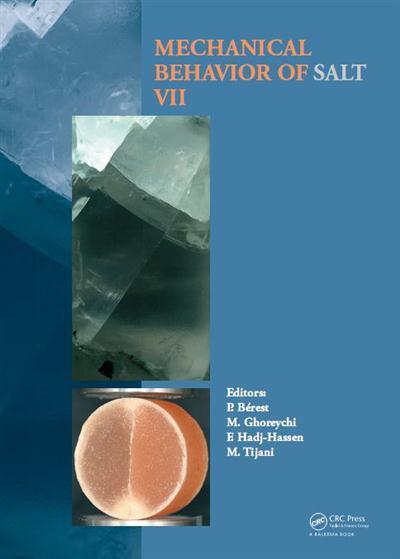 Petroleum Related Rock Mechanics Ebook
