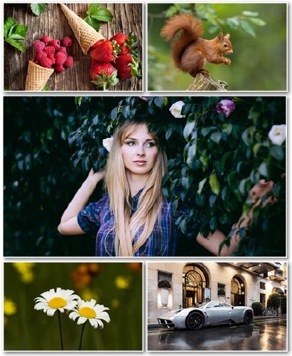 Best HD Wallpapers Pack 1344