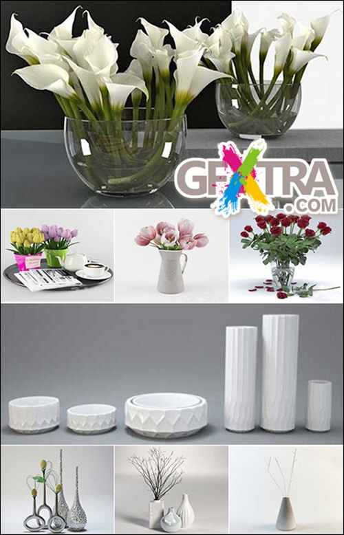 Vase and Flower Collection