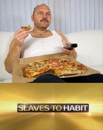 В плену привычки / Slaves To Habit (2014) SATRip