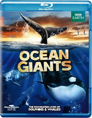 BBC.   (1-3   3) / Ocean Giants (2011) BDRip
