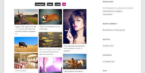 CodeCanyon - Responsive Pinterest Grid Gallery v1.2 - WordPress Plugin