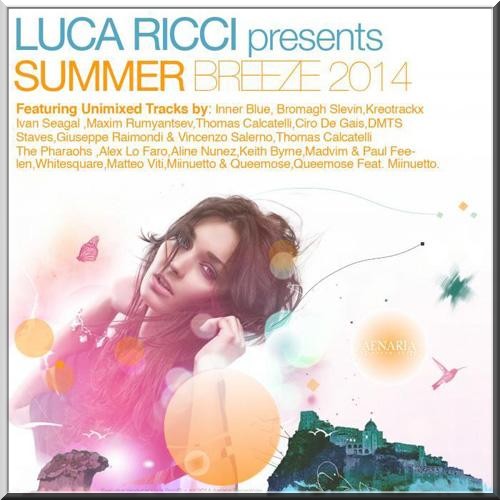 Luca Ricci Presents Summer Breeze 2014 (2014)