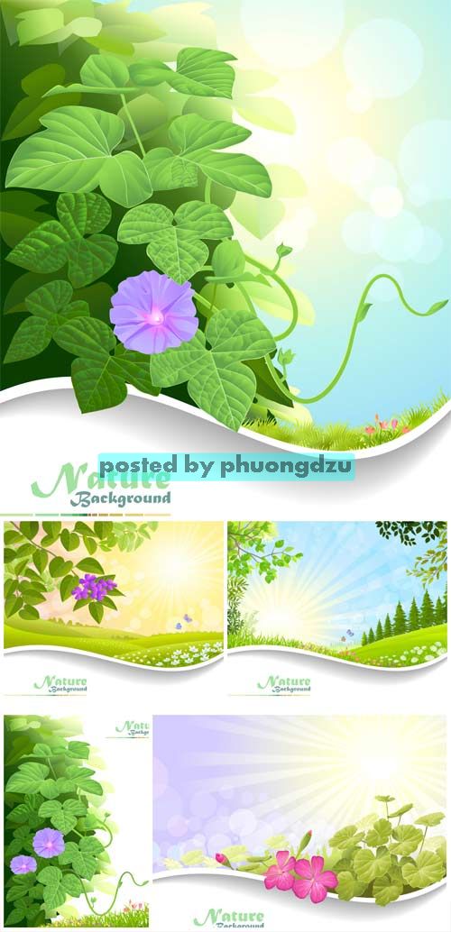 Natural backgrounds, vector backgrounds with flowers 4