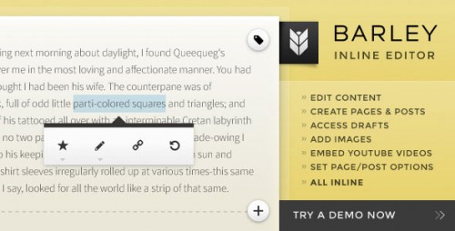 Barley - Inline Editing Plugin for WordPress cover