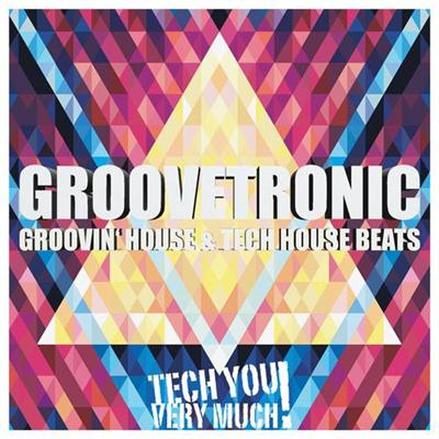 VA - Groovetronic (Groovin House & Tech House Beats) (2014)