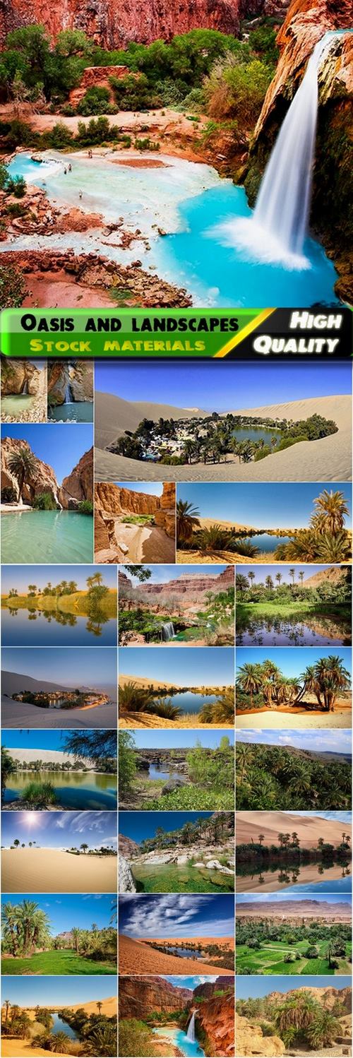 Beautiful oasis and landscapes Stock images - 25 HQ Jpg