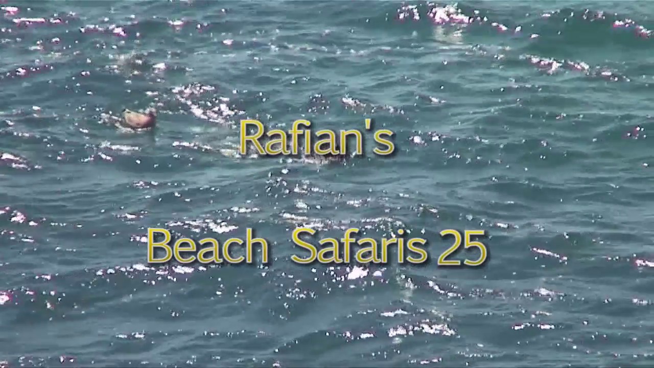 [Rafian.com] Rafian Beach Safaris #25HD [2014 ., Voyeur, Nudism, 720p, SiteRip]
