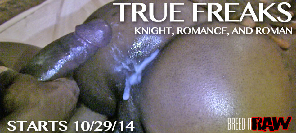 BIR - Knight, Romance and Roman - True Freaks Part 2