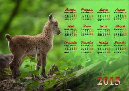 Календарь 2015 - Маленький милый козленок