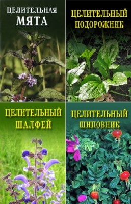 Дубровин Иван - Целительные растения. Цикл в 11 книгах