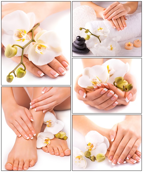 Beautiful french manicure with white orchid - Stock Photo
