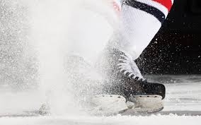 Бобруйск станет первым городом в хоккейной эстафете к 70-летию Великой Победы