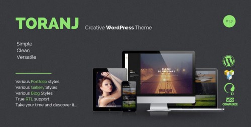 Toranj v1.3 - Responsive Creative WordPress Theme logo