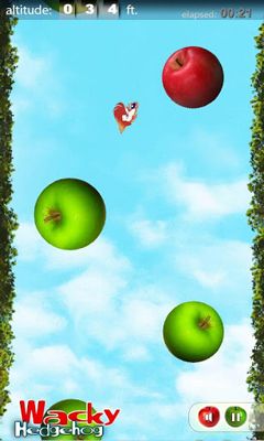 Screenshots of the game Wacky Hedgehog jump on the Android phone, tablet.