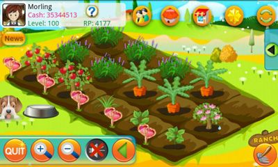 Screenshots of the game Papaya Farm on Android phone, tablet.