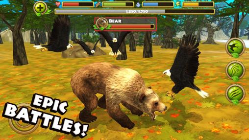 Screenshots of the game Eagle simulator on Android phone, tablet.
