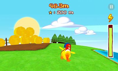 Screenshots of the game RocketBird on Android phone, tablet.