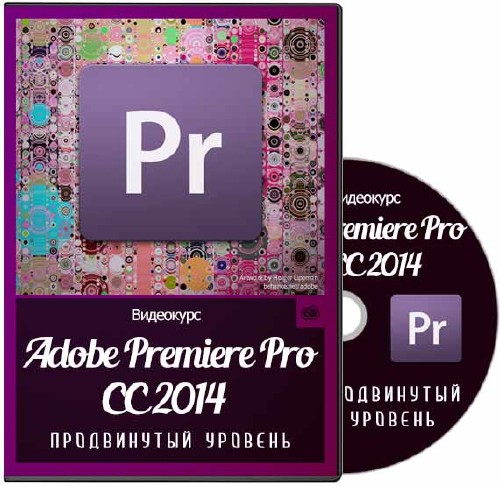 Дмитрий Ларионов - Adobe Premiere Pro. Продвинутый уровень. Видеокурс (2014)