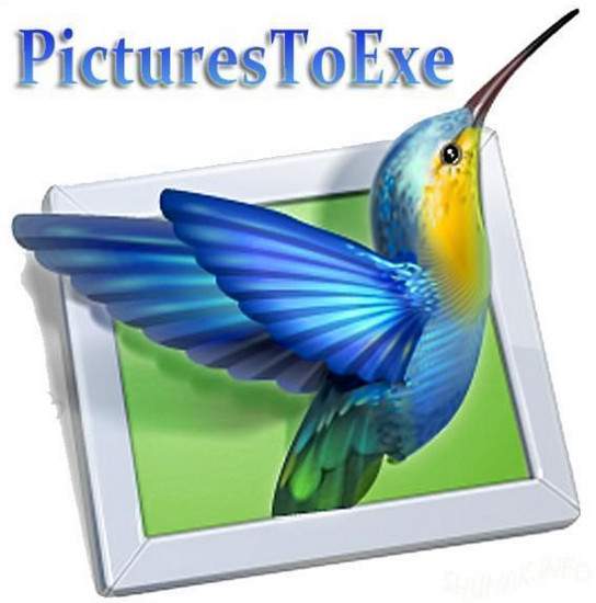 PicturesToExe Deluxe 8.0.10