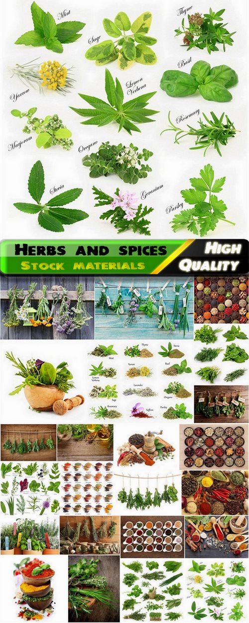 Herbs and spices Stock images - 24 HQ Jpg