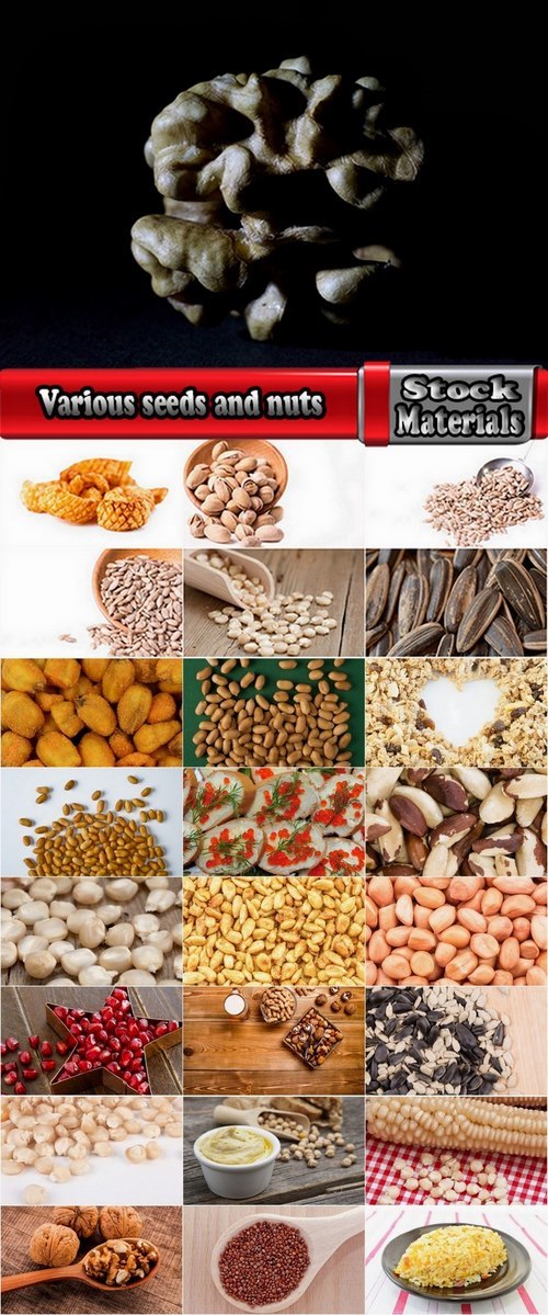 Various seeds and nuts 25 HQ Jpeg