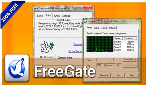 FreeGate Professional 7.57 Portable