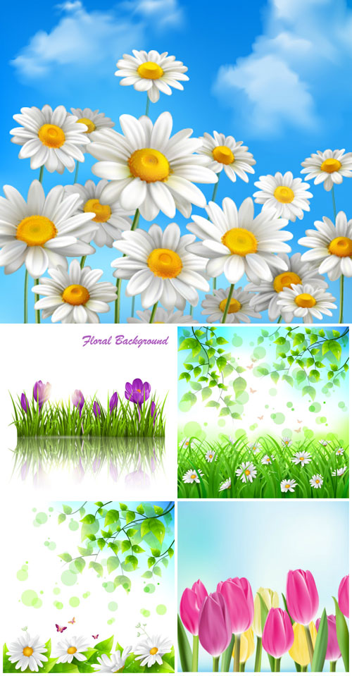 Flowers vector, daisies, crocuses, tulips 5