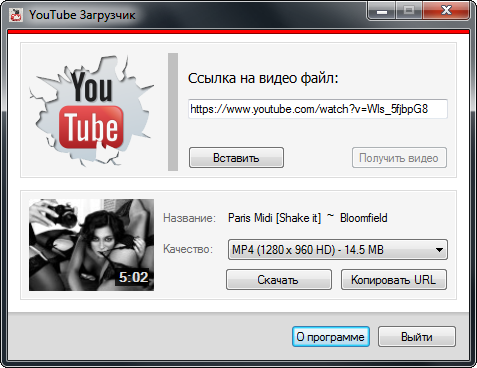 YouTube Загрузчик 1.3 Rus Portable