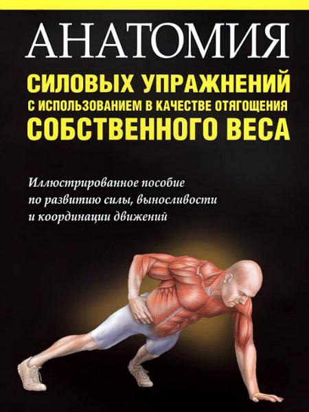 Анатомия силовых упражнений с использованием в качестве отягощения собственного веса.jpg
