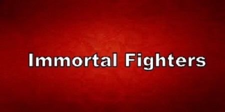 Immortal Fighters v1.2