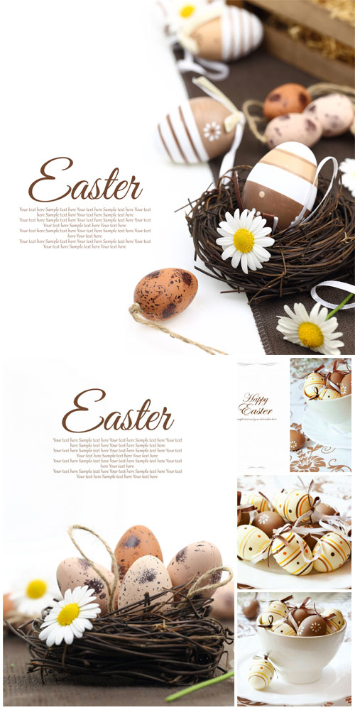 Happy Easter, Easter eggs and daisies - stock photos