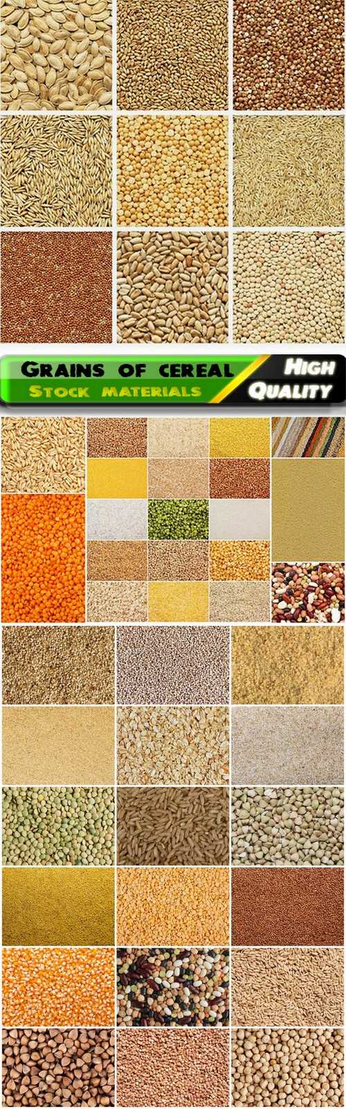 Textures of legumes and grains of cereals - 25 HQ Jpg