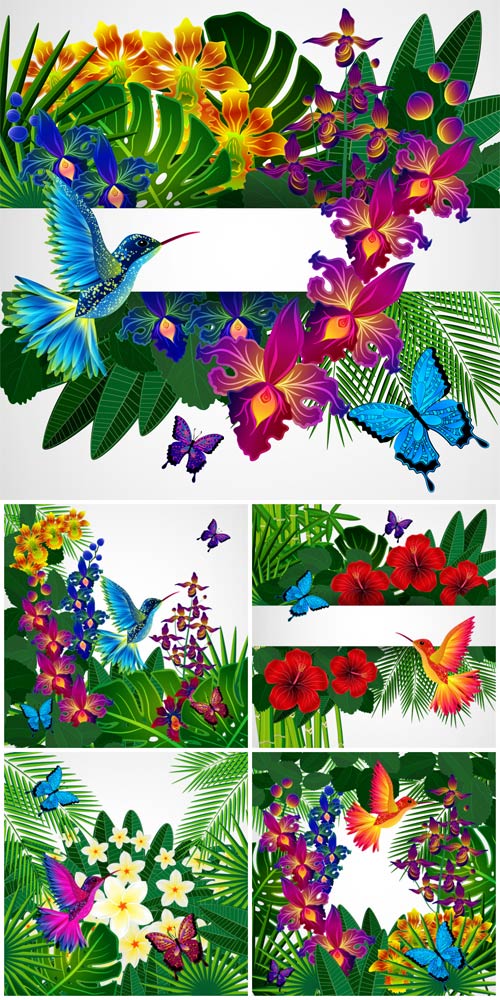 Tropical flowers and birds vector