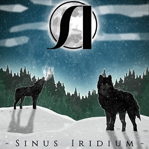 Sinus Iridium - Gamer [New Track] (2015)