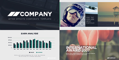 Clean Corporate Presentation 13536793 - Project for After Effects (Videohive)