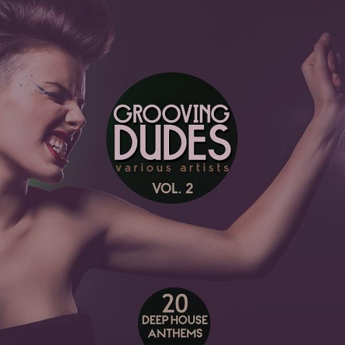 Grooving Dudes Vol 2 20 Deep-House Anthems (2015)