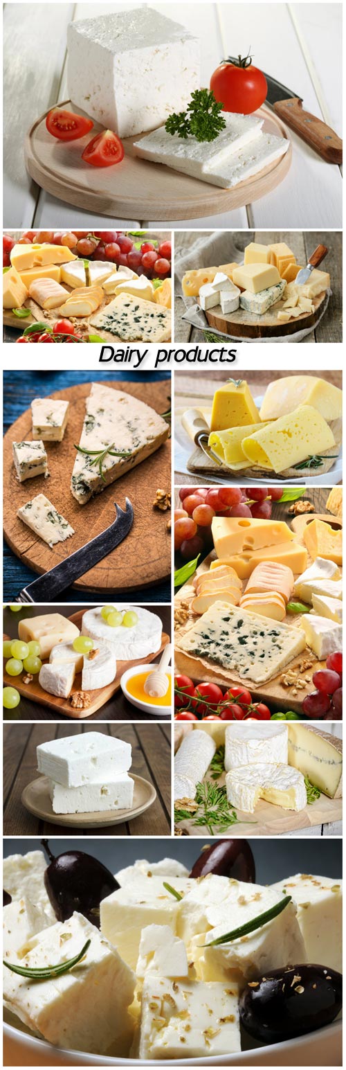 Dairy products, cheese