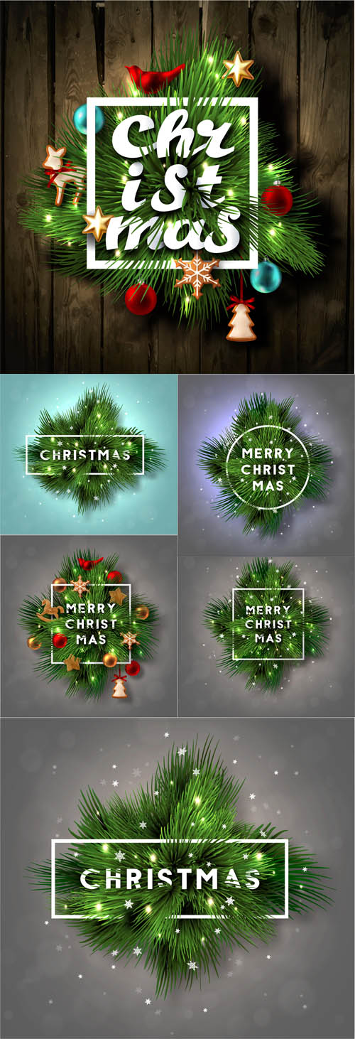 Vector Christmas Label with Pine Branches and snowflakes 3