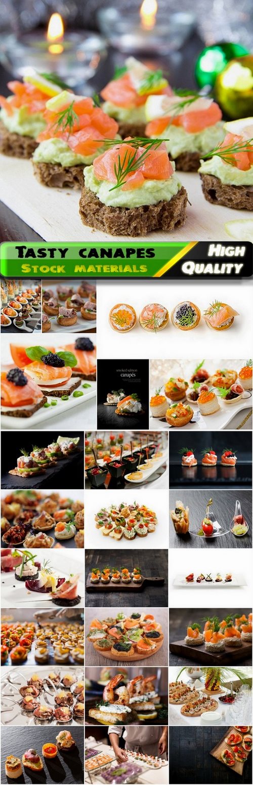 Tasty canapes with smoked salmon - 25 HQ Jpg