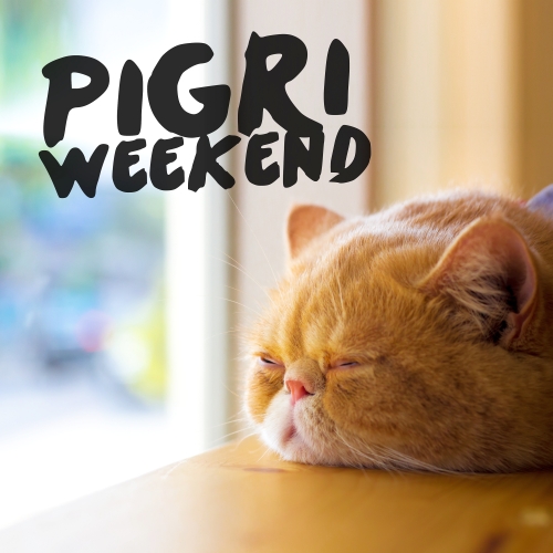 Pigri Weekend (2015)