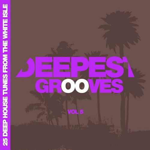 Deepest Grooves 25 Deep House Tunes from the White Isle Vol.5 (2016)